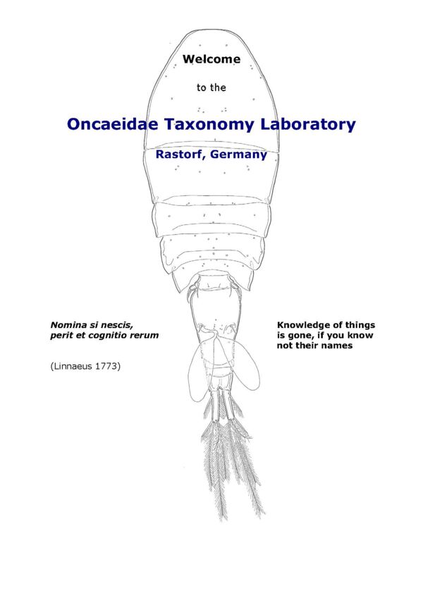 Oncaea Laboratory